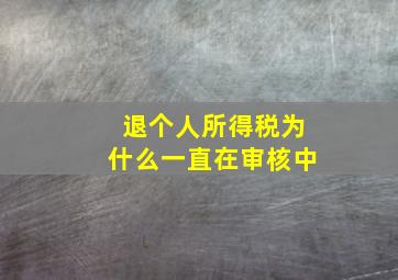 退个人所得税为什么一直在审核中