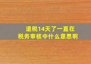 退税14天了一直在税务审核中什么意思啊