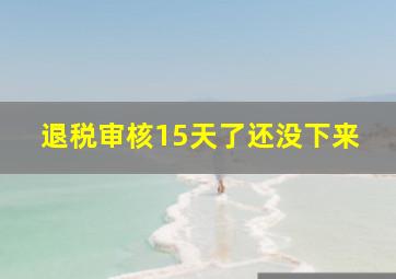 退税审核15天了还没下来