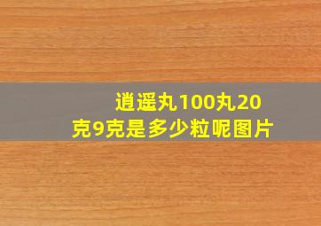 逍遥丸100丸20克9克是多少粒呢图片