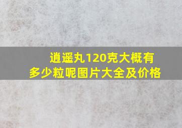 逍遥丸120克大概有多少粒呢图片大全及价格