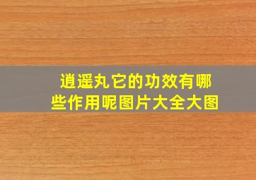 逍遥丸它的功效有哪些作用呢图片大全大图