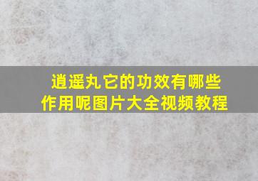 逍遥丸它的功效有哪些作用呢图片大全视频教程