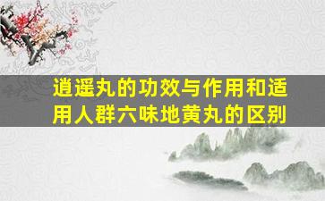 逍遥丸的功效与作用和适用人群六味地黄丸的区别