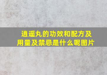 逍遥丸的功效和配方及用量及禁忌是什么呢图片