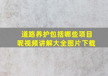 道路养护包括哪些项目呢视频讲解大全图片下载