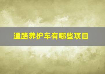 道路养护车有哪些项目