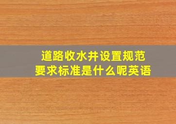 道路收水井设置规范要求标准是什么呢英语