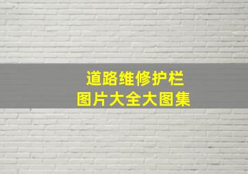 道路维修护栏图片大全大图集