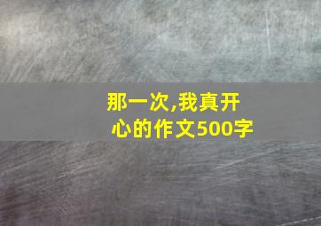 那一次,我真开心的作文500字