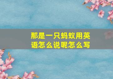 那是一只蚂蚁用英语怎么说呢怎么写