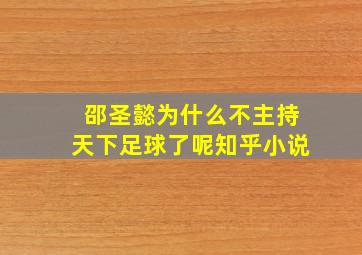 邵圣懿为什么不主持天下足球了呢知乎小说