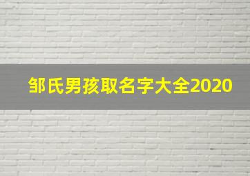 邹氏男孩取名字大全2020