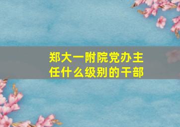 郑大一附院党办主任什么级别的干部