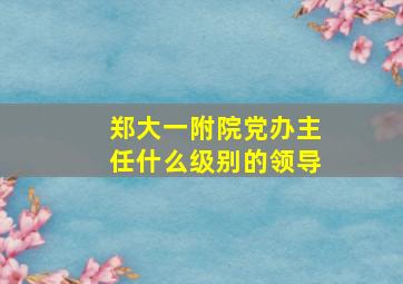 郑大一附院党办主任什么级别的领导