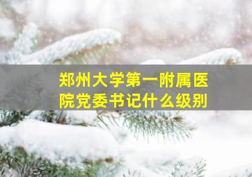 郑州大学第一附属医院党委书记什么级别