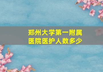 郑州大学第一附属医院医护人数多少