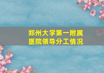 郑州大学第一附属医院领导分工情况