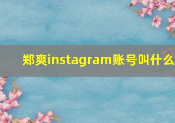 郑爽instagram账号叫什么