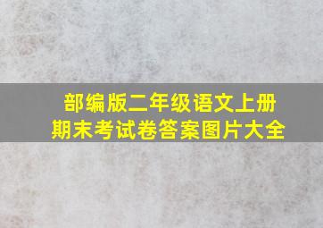 部编版二年级语文上册期末考试卷答案图片大全