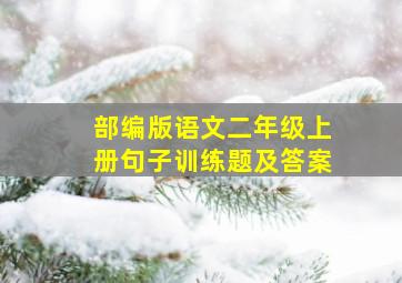 部编版语文二年级上册句子训练题及答案