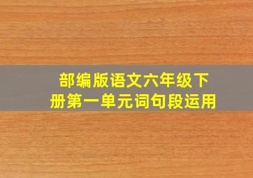 部编版语文六年级下册第一单元词句段运用