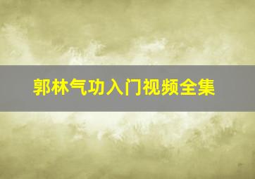 郭林气功入门视频全集