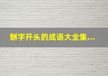 酬字开头的成语大全集...