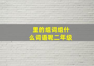 里的组词组什么词语呢二年级