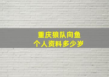 重庆狼队向鱼个人资料多少岁