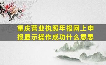 重庆营业执照年报网上申报显示操作成功什么意思