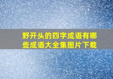 野开头的四字成语有哪些成语大全集图片下载