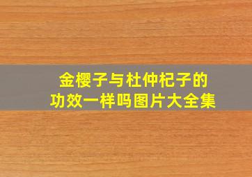 金樱子与杜仲杞子的功效一样吗图片大全集