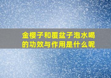 金樱子和覆盆子泡水喝的功效与作用是什么呢