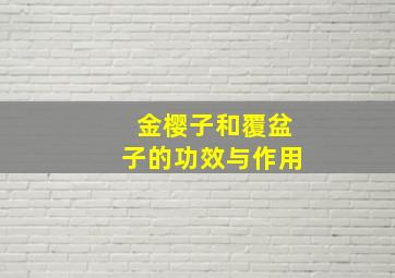 金樱子和覆盆子的功效与作用