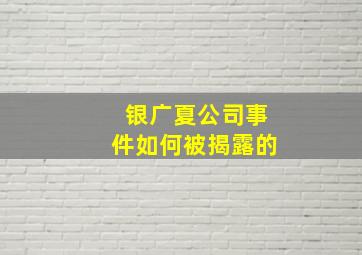 银广夏公司事件如何被揭露的