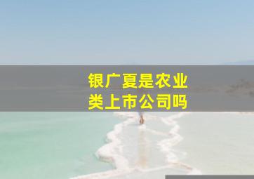 银广夏是农业类上市公司吗