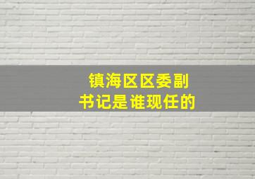 镇海区区委副书记是谁现任的