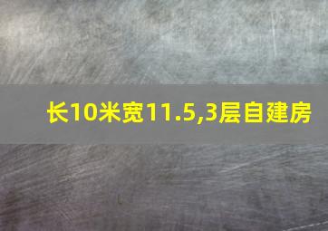 长10米宽11.5,3层自建房