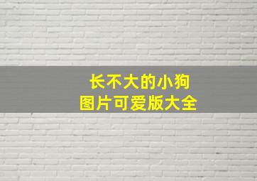 长不大的小狗图片可爱版大全