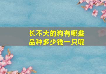 长不大的狗有哪些品种多少钱一只呢