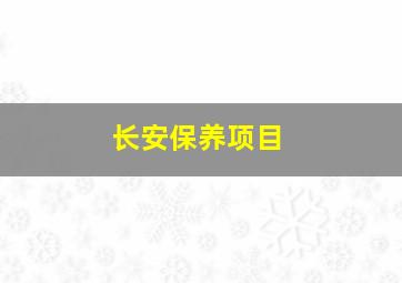 长安保养项目