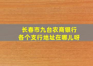 长春市九台农商银行各个支行地址在哪儿呀