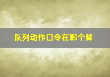 队列动作口令在哪个脚