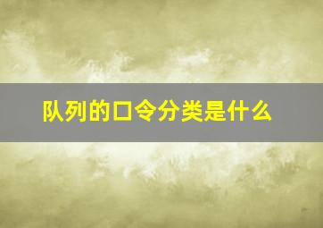 队列的口令分类是什么