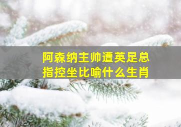 阿森纳主帅遭英足总指控坐比喻什么生肖