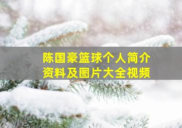 陈国豪篮球个人简介资料及图片大全视频