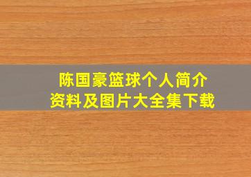 陈国豪篮球个人简介资料及图片大全集下载