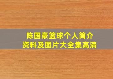 陈国豪篮球个人简介资料及图片大全集高清