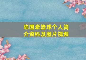 陈国豪篮球个人简介资料及图片视频